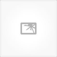 placeholder Zirconia